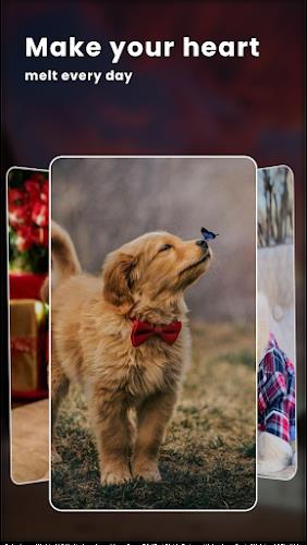 Puppy Love: Cute Dog Wallpaper Capture d’écran 3