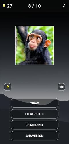 Animal Quiz: Guess the Animal應用截圖第1張