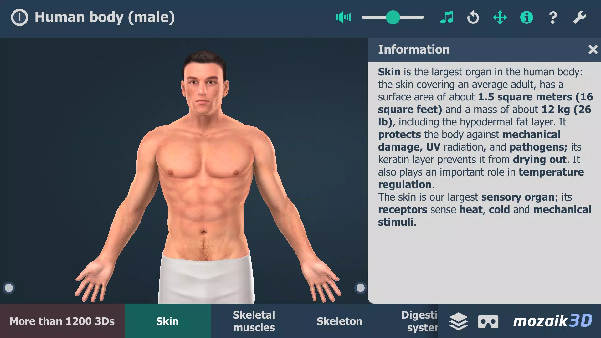 Le corps humain en 3D Capture d’écran 1