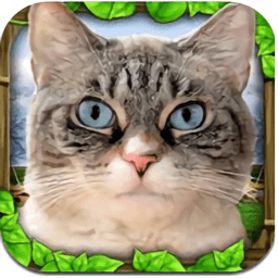 流浪猫模拟器 V1.3 安卓版