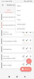 NetMod VPN Client (V2Ray/SSH) Capture d'écran 2