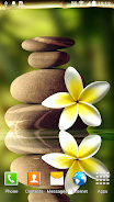 Zen Garden Live Wallpaper Скриншот 2