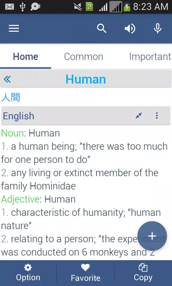 Japanese Dictionary Offline Screenshot 3