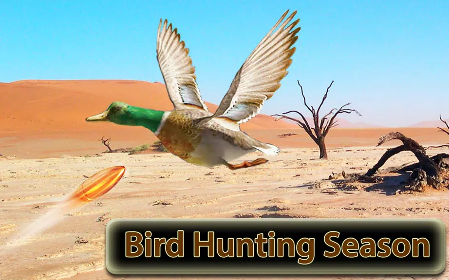 Desert Birds Sniper Shooter 3D應用截圖第1張