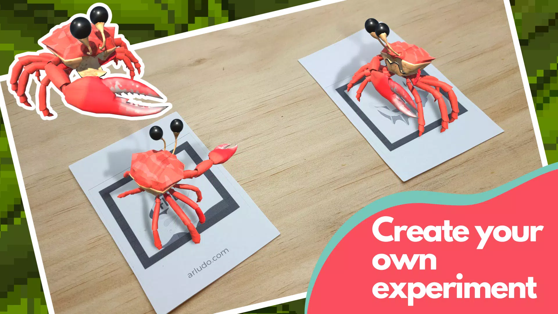 Reservoir Crabs應用截圖第3張