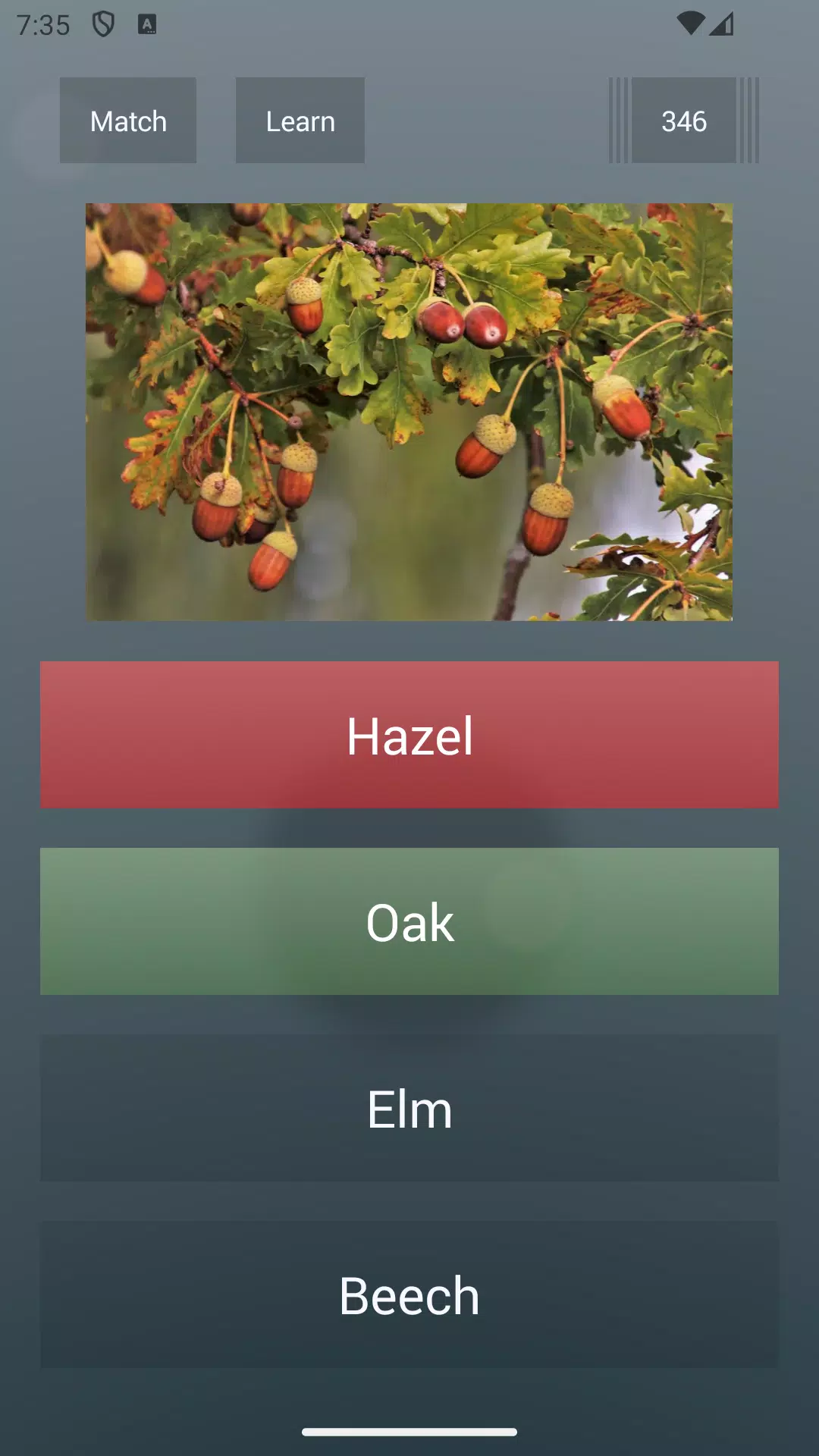 General Knowledge Quiz Screenshot 2