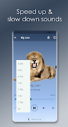 Lion Sounds Screenshot 4