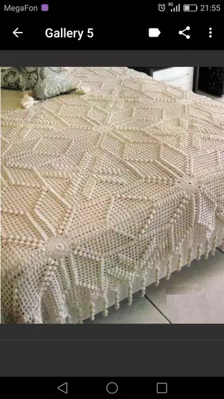 Crochet Blanket Patterns應用截圖第3張