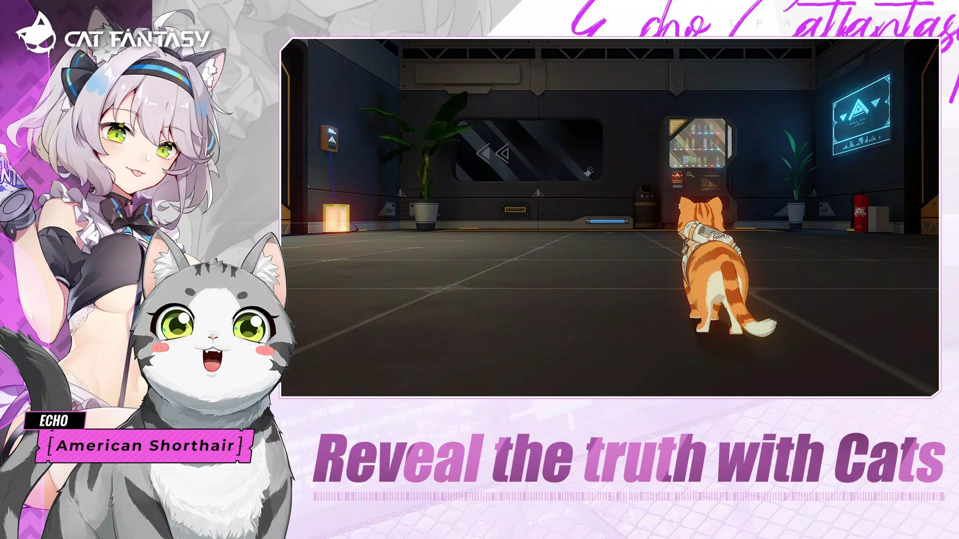 Cat Fantasy:PH应用截图第4张