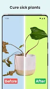 PlantCam: AI Plant Identifier Screenshot 4