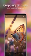 Butterfly Wallpapers 4K स्क्रीनशॉट 4