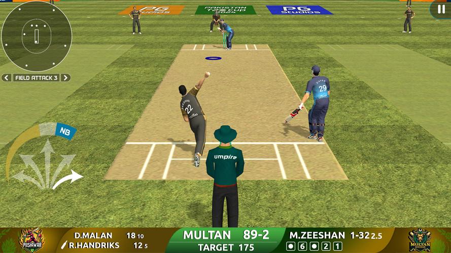 Cricket Game: Pakistan T20 Cup Screenshot 2