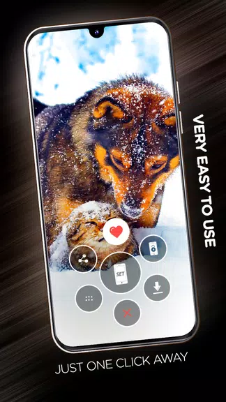 Wallpapers with dogs in 4K 스크린샷 2