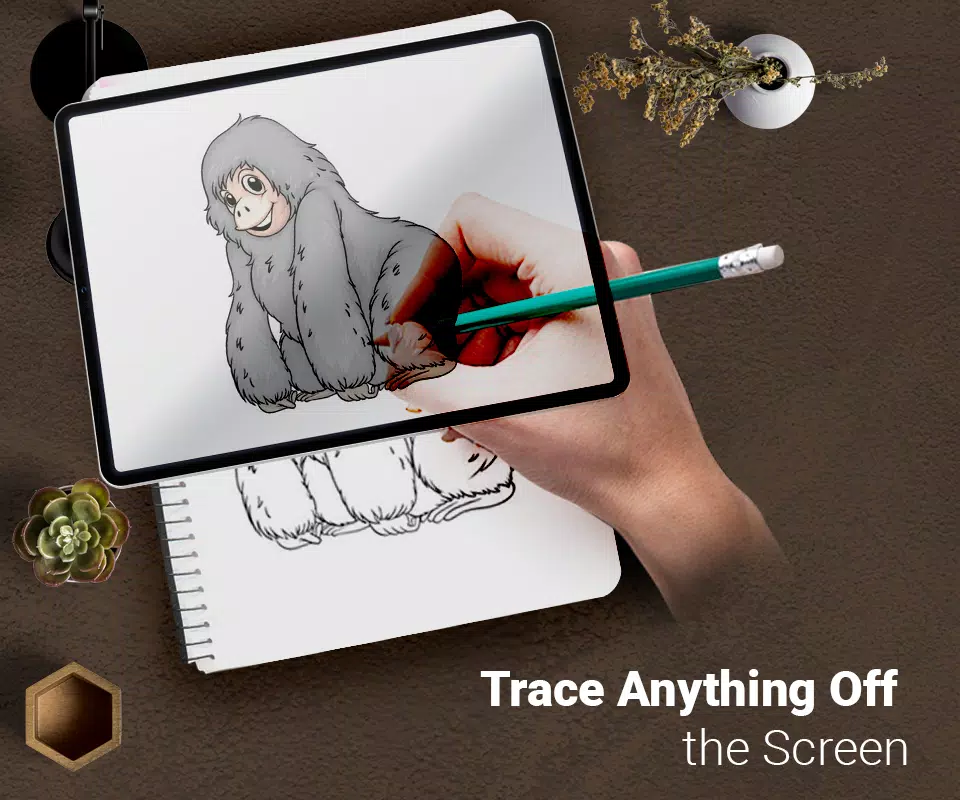 Draw : Trace & Sketch应用截图第1张