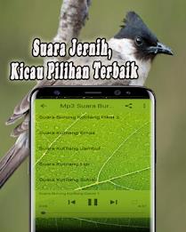 Suara Burung Kutilang Offline应用截图第4张