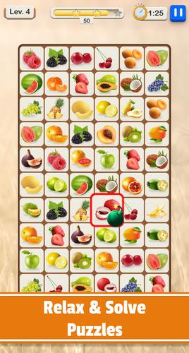 Tilescapes Match應用截圖第2張