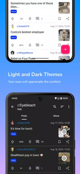 Infinity for Reddit Screenshot 3