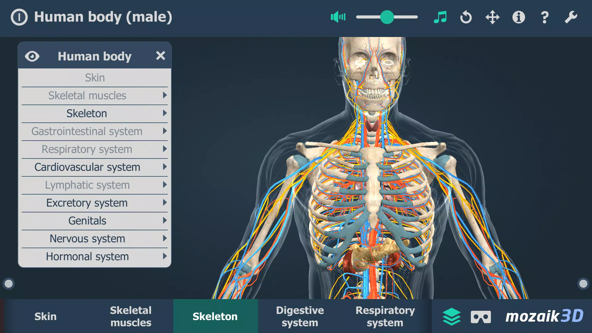 Le corps humain en 3D Capture d’écran 4