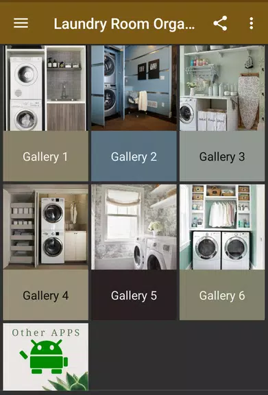Laundry Room Organization應用截圖第1張