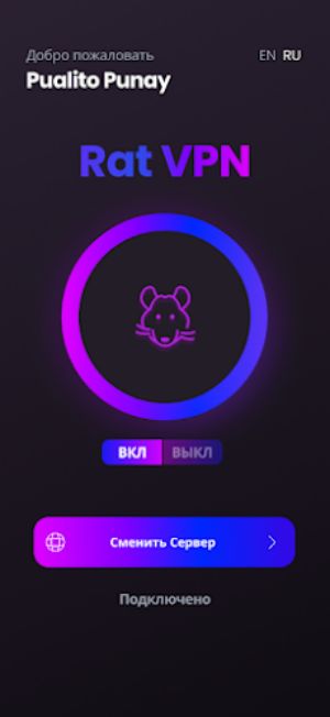Rat VPN Screenshot 3