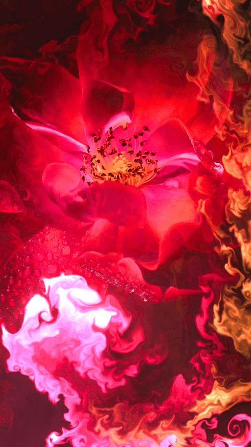 Fluid Live Wallpaper應用截圖第4張