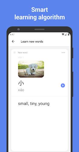 Learn Chinese with flashcards! Screenshot 1
