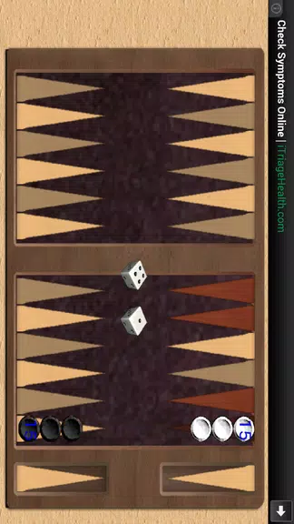 BACKGAMMON 31 - طاولة زهر نرد應用截圖第4張