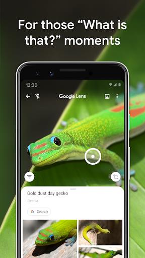 Google Lens应用截图第1张