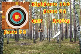 Crossbow Shooting Скриншот 4