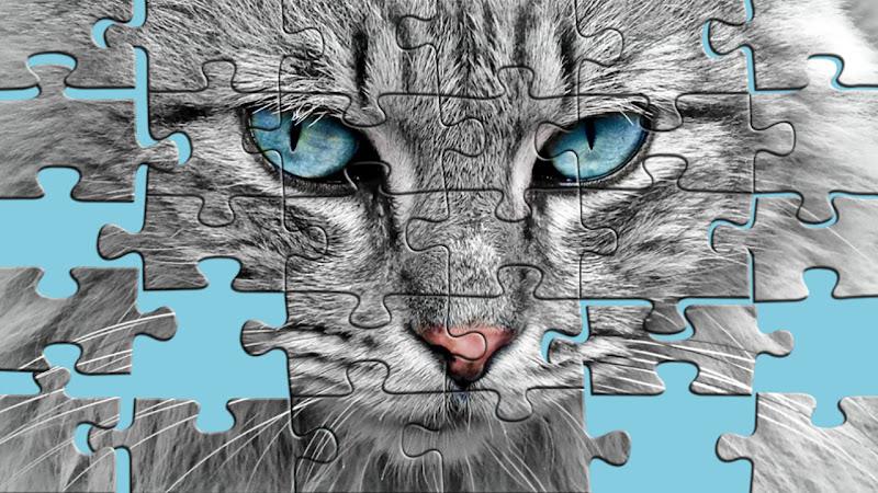 Big puzzles with cats Capture d'écran 1