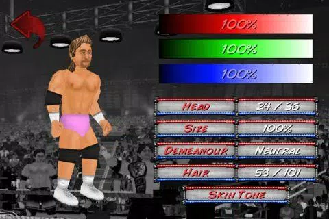 Wrestling Revolution Captura de tela 2