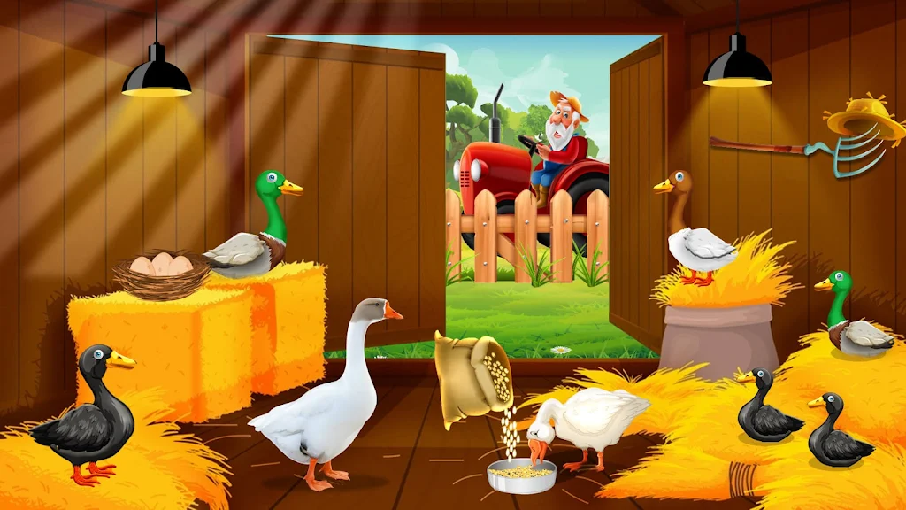 Duck Farm Eggs Chicken Poultry Screenshot 4