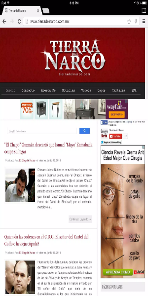 El Blog del Narco 스크린샷 1