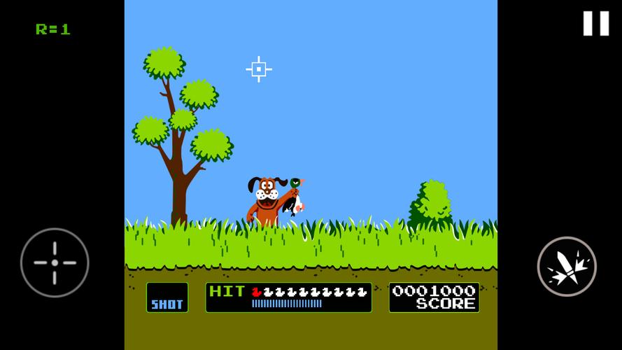 Duck Hunt スクリーンショット 2