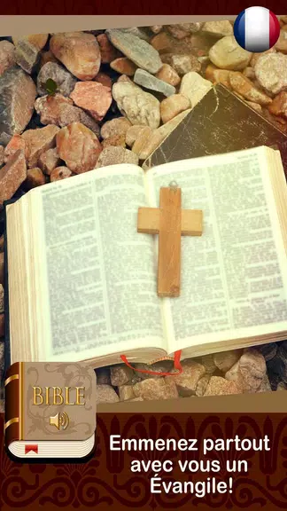 Sainte Bible en Français audio Скриншот 3