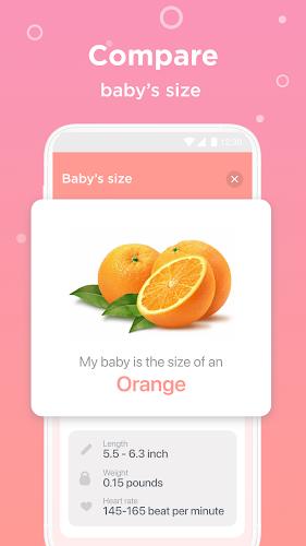 Pregnancy Tracker & Baby Guide 스크린샷 3