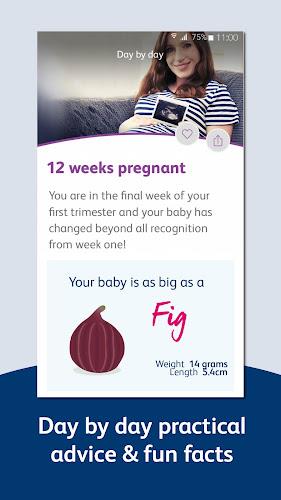 Bounty - Pregnancy & Baby App Captura de tela 3