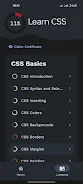 Learn CSS 스크린샷 1