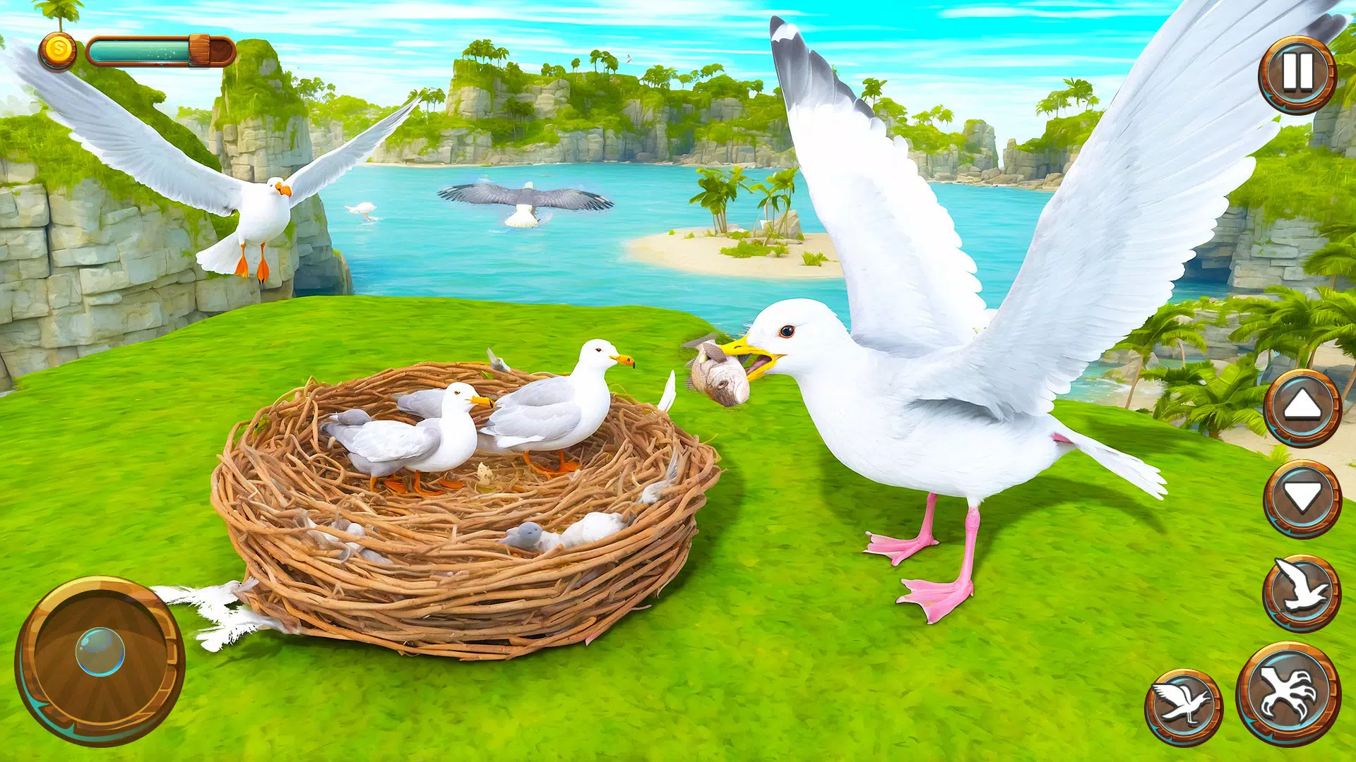 Seagull Bird Life Simulator Screenshot 4