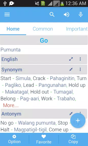Filipino Dictionary Multifunct スクリーンショット 3