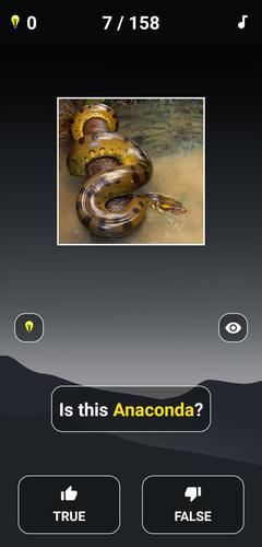 Animal Quiz: Guess the Animal應用截圖第3張