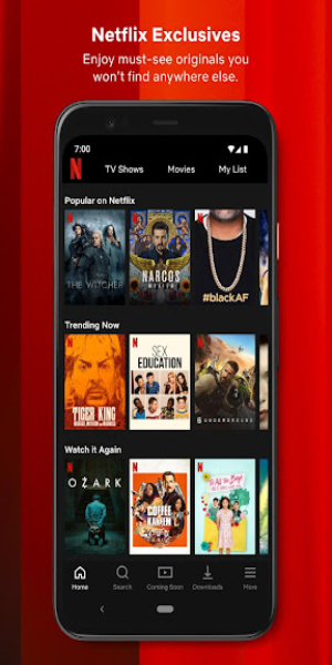 Netflix स्क्रीनशॉट 2