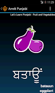 Punjabi Alphabet Amrit Punjabi 스크린샷 4