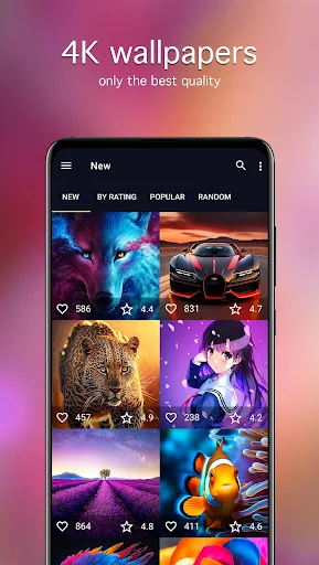 7Fon: Wallpapers & Backgrounds Скриншот 4