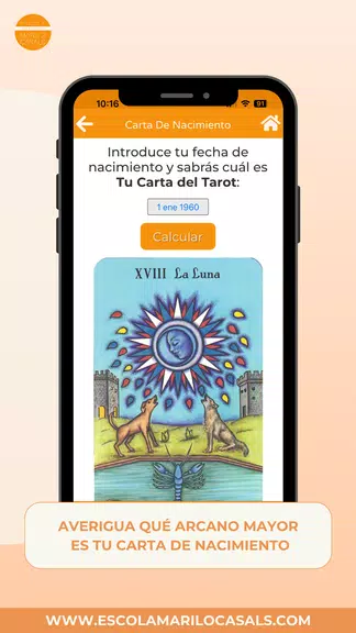 Curso Tarot Esc. Mariló Casals 스크린샷 2