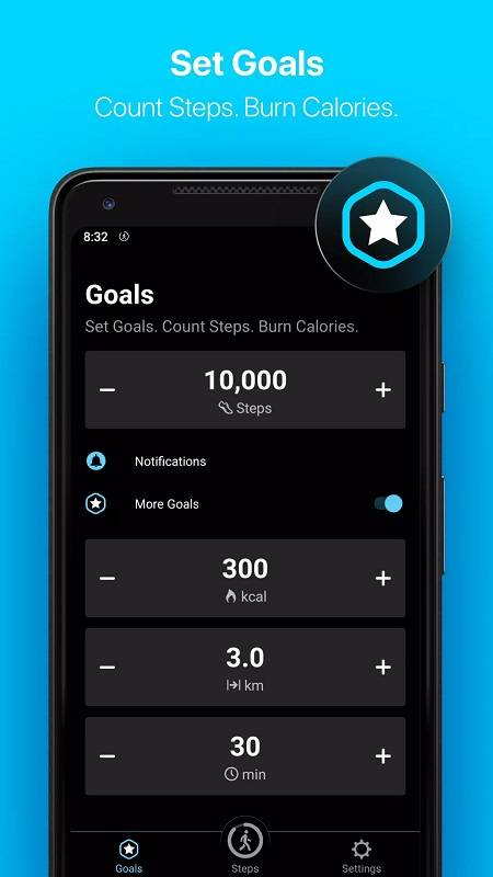 StepsApp स्टेप काउंटर स्क्रीनशॉट 3
