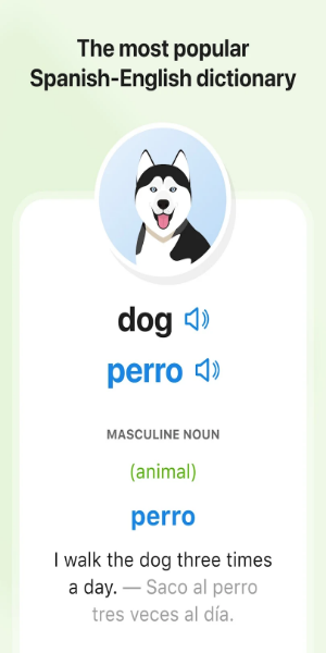 SpanishDictionary.com Learning Screenshot 2