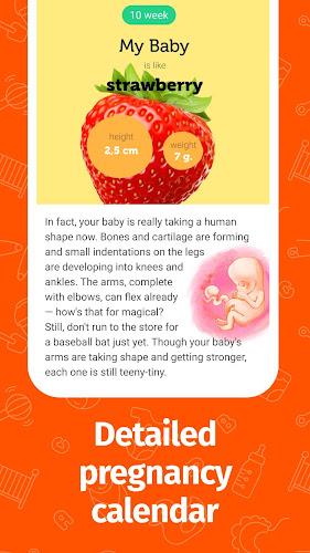 Pregnancy App and Baby Tracker Capture d'écran 3