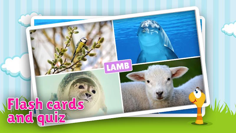 Animal flashcard & sounds スクリーンショット 2