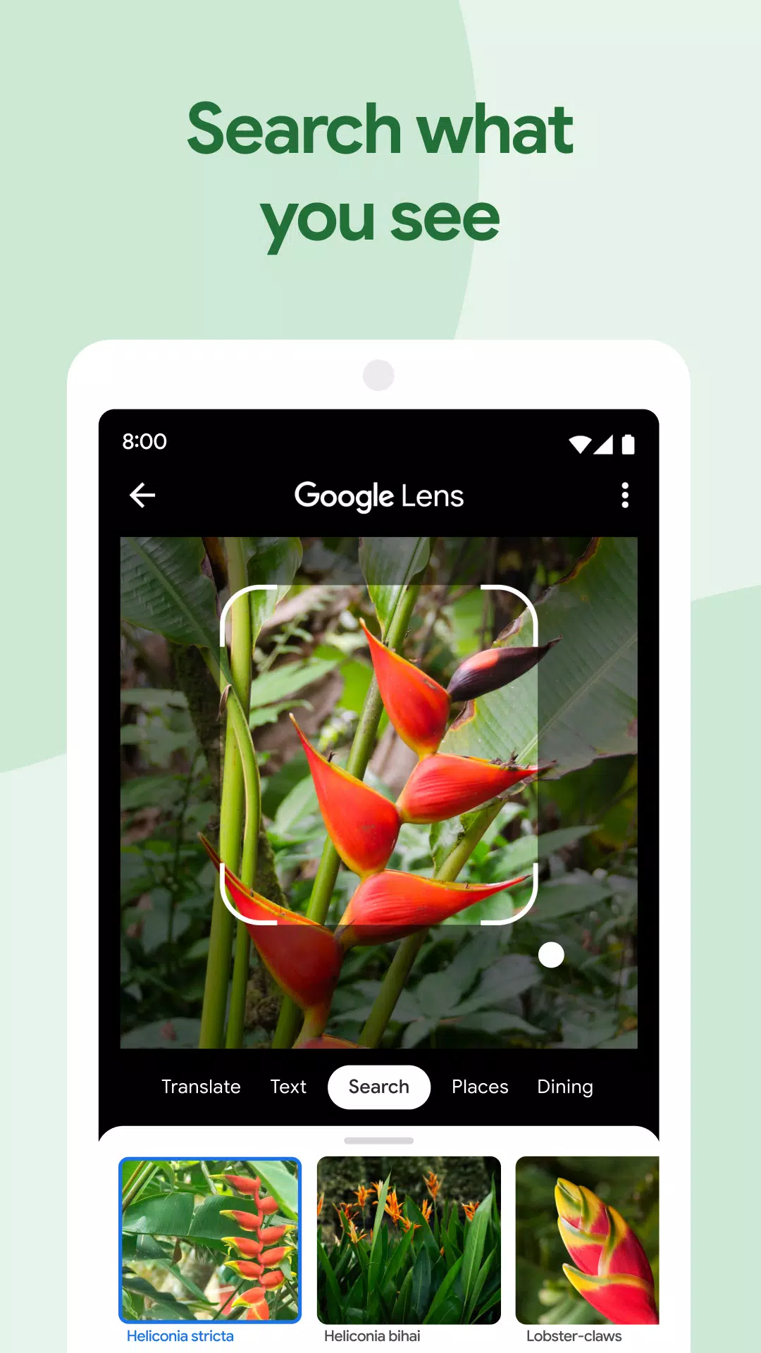 Google 相册应用截图第3张